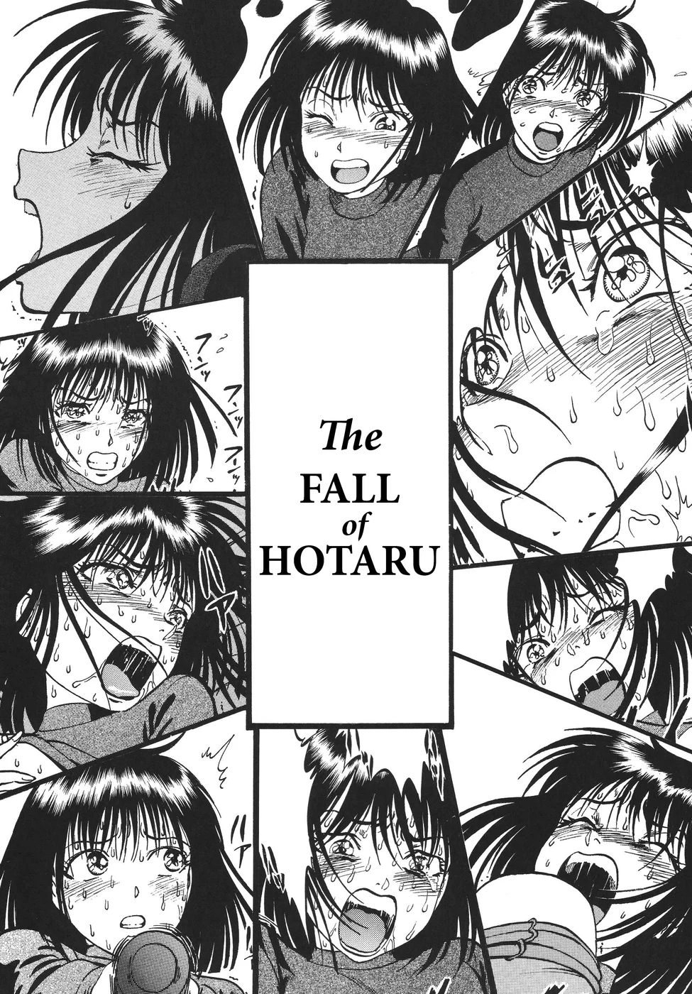 The Fall Of Hotaru page 2